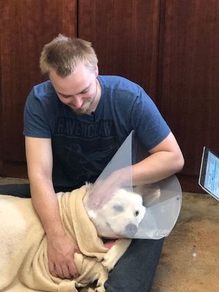 Spay and Neuter Dogs and Puppies Neutering Success  - After