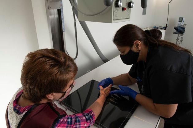 In-office X-ray: Case 1 - Test 5