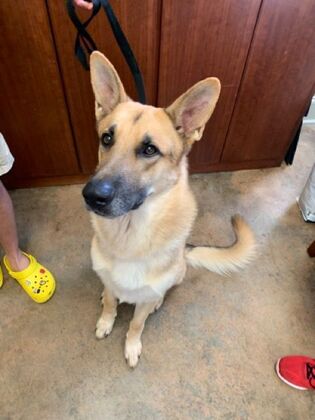 Annual Wellness Checkups Comprehensive Yearly Checkups - Before