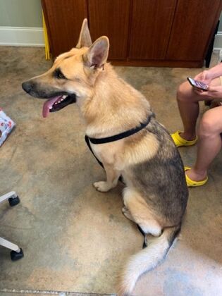 Annual Wellness Checkups Comprehensive Yearly Checkups - After