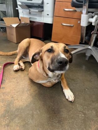 Annual Wellness Checkups: Comprehensive Yearly Checkups - A little nervous