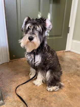 Annual Wellness Checkups: Comprehensive Yearly Checkups