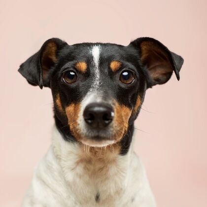 Annual Wellness Checkups Case